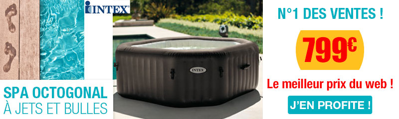 spa gonflable 2 places occasion