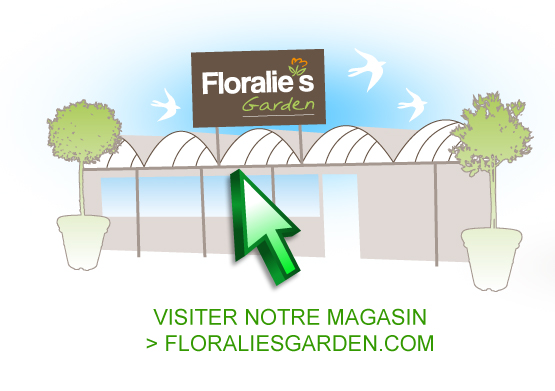 spa gonflable floralie's garden