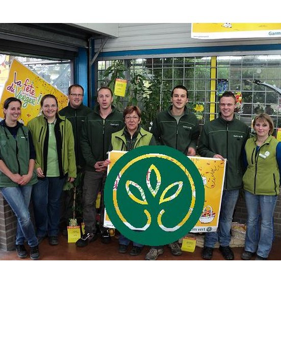 spa gonflable gamm vert