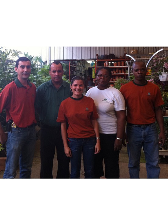 spa gonflable gamm vert