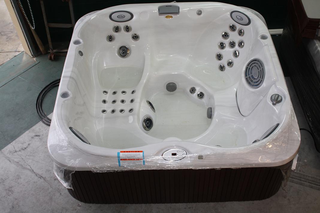 spa jacuzzi 2010