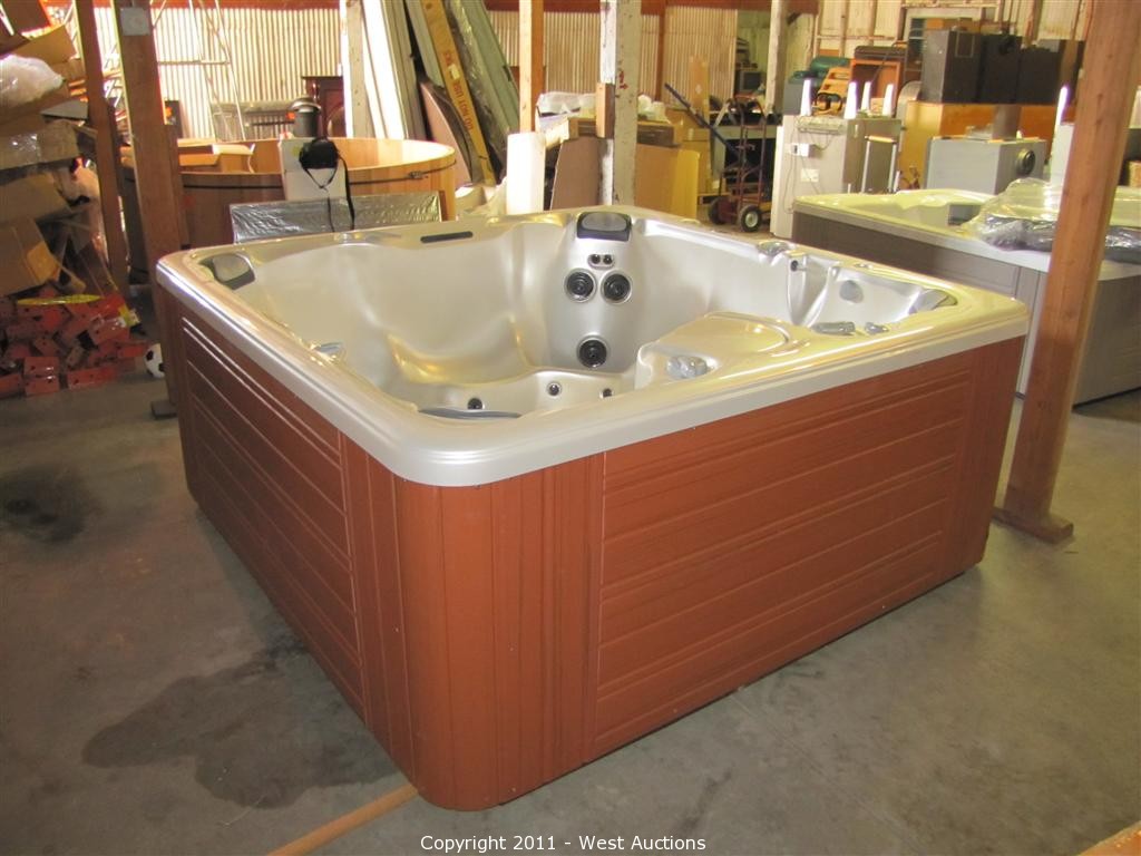 spa jacuzzi 2011