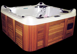 spa jacuzzi bois
