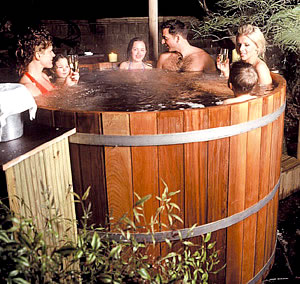 spa jacuzzi difference