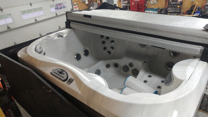 spa jacuzzi j-355 a vendre