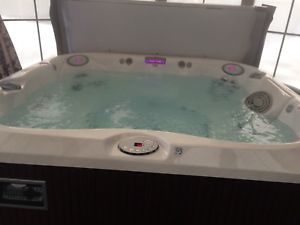 spa jacuzzi j-355 a vendre