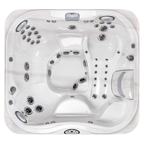 spa jacuzzi j-355 a vendre