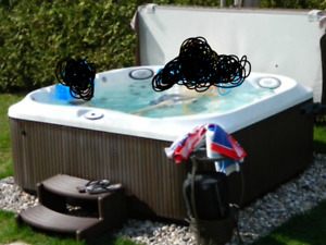spa jacuzzi j-355 a vendre