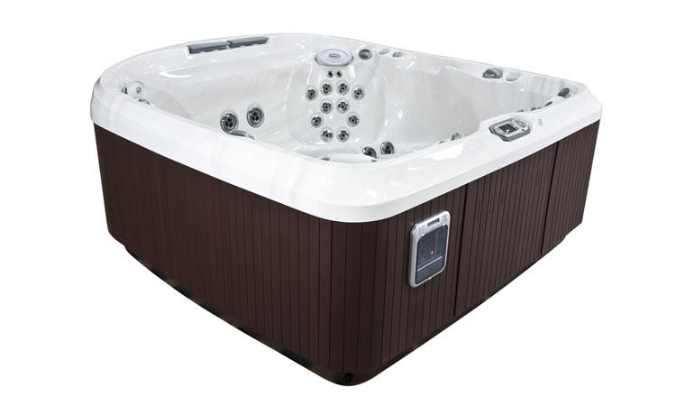 spa jacuzzi j 480
