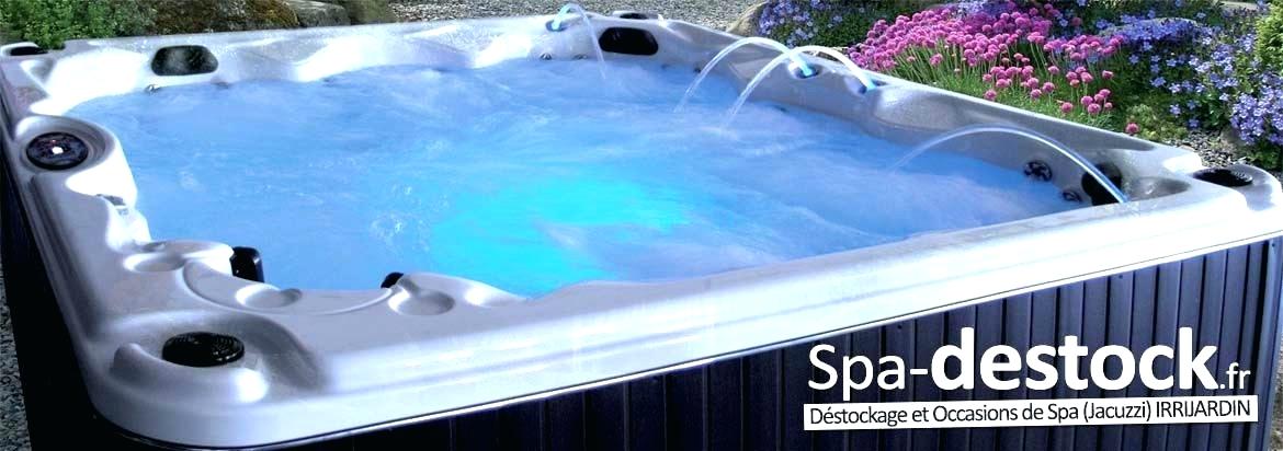 spa jacuzzi occasion suisse