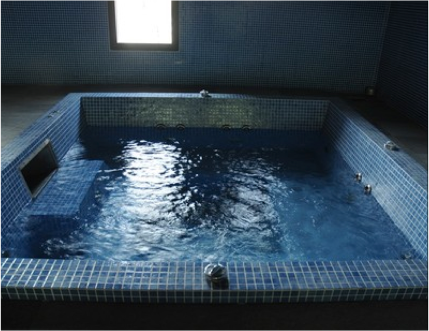 spa jacuzzi pau
