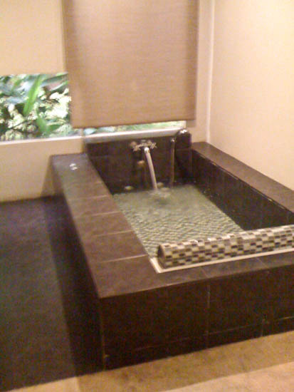 spa jacuzzi quezon city