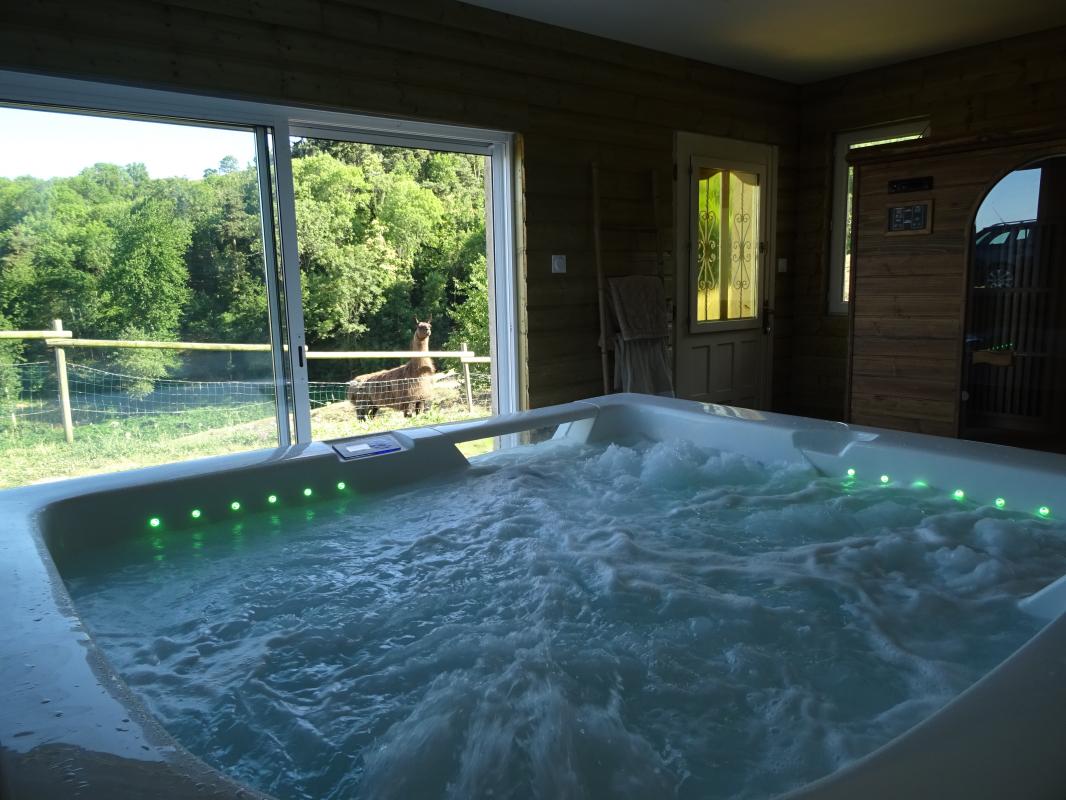 spa jacuzzi roanne
